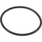 Jandy TruClear O-Ring, Replacement