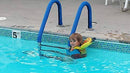 KoolGrips Handrail Cover for Swimming Pool & Spa 4 Foot Length 1.90 Diameter | Color: Royal Blue | Installs in Seconds w Zipper - No Tools Needed | Eliminates Hot & Cold Handrails