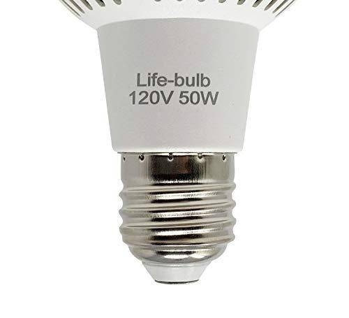 Life-Bulb LED Pool Light Bulb | 120V 50W White | Lifetime Replacement Warranty | Replacement for Pentair and Hayward In Ground Swimming Pool Fixtures | Replaces up to 800W Incandescent Bulb