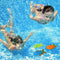 NUOBESTY 6Pcs Diving Pool Toys Set, Sinking Fish-Shaped Swim Toys, Underwater Sinking Swimming Pool Toy for Kids