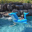 O.E. Ojis Ecart Dolphin Raft Tube