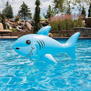 O.E. Ojis Ecart Inflatable Water-Filled Pet