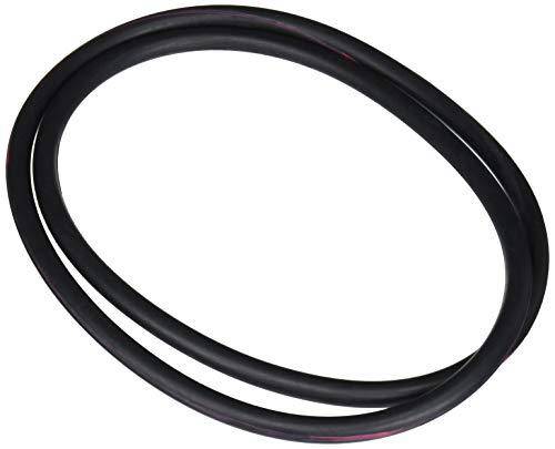 Pentair 071439 O-Ring Replacement SM and SMBW 4000 Series Pool and Spa D.E. Filter
