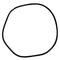 Pentair 24850-0009 25-Inch Cord O-Ring for Tank Replacement for Select Sta-Rite Pool and Spa Filters