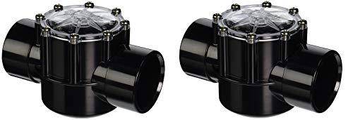 Pentair 263042 Check Valve CPVC for Pool Pumps, 2 Port Straight (Pack of 2)