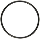 Pentair 272541 O-Ring Replacement Pool/Spa Filter and Valve