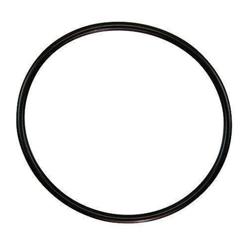 Pentair 350013 Lid O-Ring, Challenger (All), WFE (After 11/98)