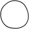 Pentair 350166 30-Lid O-ring for Pool Systems
