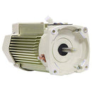 Pentair 353134s Mtr Pkg W/O Drive Vs Tefc Almond
