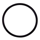 Pentair 355330 Strainer Pot Flange O-Ring Replacement Pool/Spa Pump, Filter and Skimmers