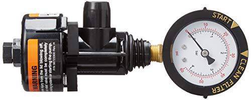 Pentair 98209800 Air Relief Manual Valve Assembly