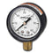 Pentair Clean & Clear Filter Pressure Gauge 53003201