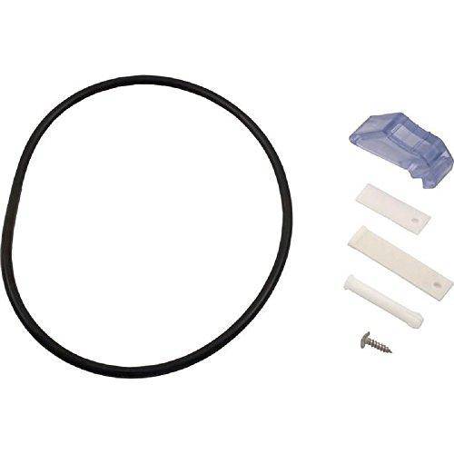 Pentair R211600 Latch and O-Ring Kit Assembly
