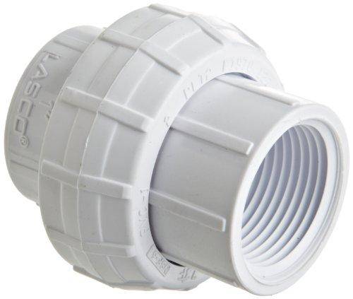 Pentair R270531 1-Inch Threaded Union Replacement Pool and Spa High Capacity Automatic Feeder