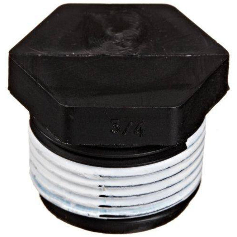Pentair WC78-38T 3/4-Inch NPT Pipe Plug Replacement for Sta-Rite Posi-Flo II Pool and Spa Cartridge Filters