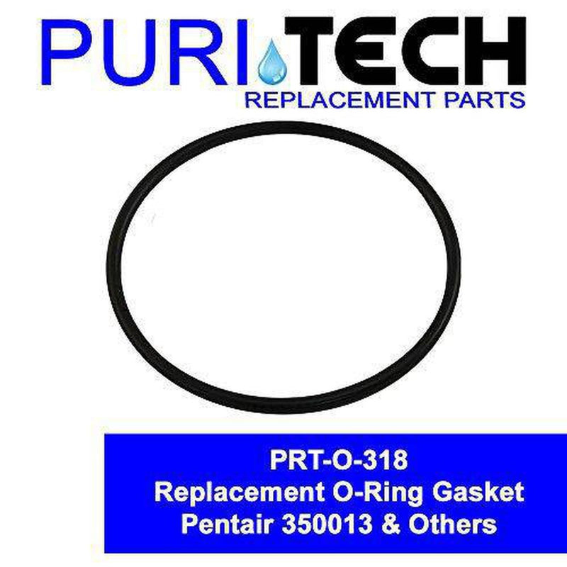 Pool Pump Lid O-Ring Replacement for Pentair Part 350013 for Challenger Pinnacle