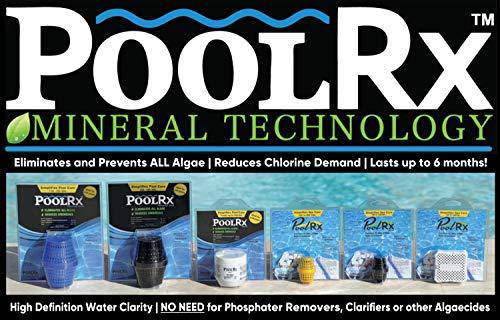 Pool RX 102001 6 Month Swimming Pool Algaecide Replacement, 8 oz, Blue