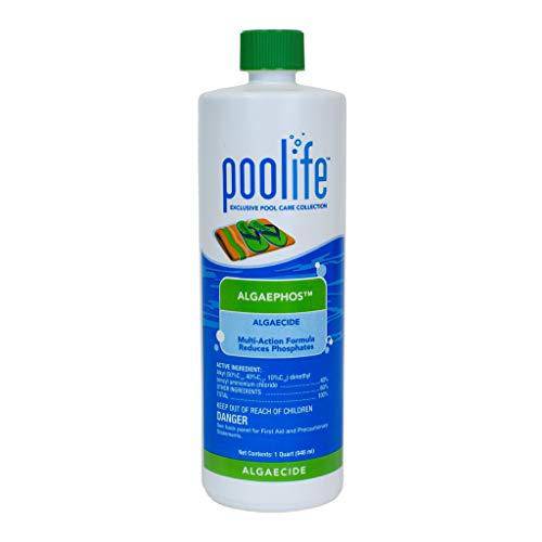 poolife AlgaePhos Algaecide (1 qt)