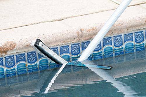 Poolmaster 20173 18-Inch Swimming Pool Brush With Aluminum-Back and Combo Bristles, Premier Collection