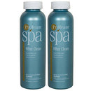 ProTeam Spa Filter Clean (1 pt) (2 pack)