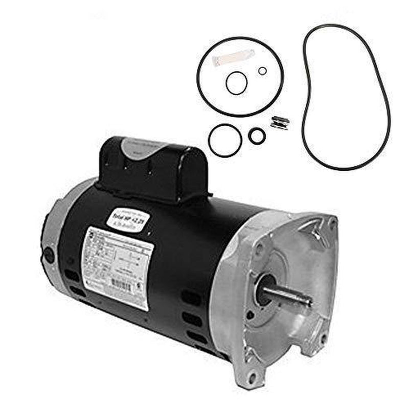 Puri Tech A.O. Smith SQ1152 1-1/2 HP, 1.47 SerSta-Rite Max-E-Pro 1.5HP P6R6F-207L Replacement Motor Kit AO Smith SQ1152 w/GO-KIT-79