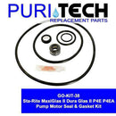 Puri Tech GO-KIT - Sta-Rite Maxi-Glas II Dura Glas II P4E P4EA