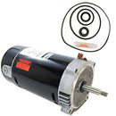 Puri Tech Hayward Max-Flo .75HP SP2800X7 Replacement Motor Kit AO Smith UST1072 w/GO-KIT-1