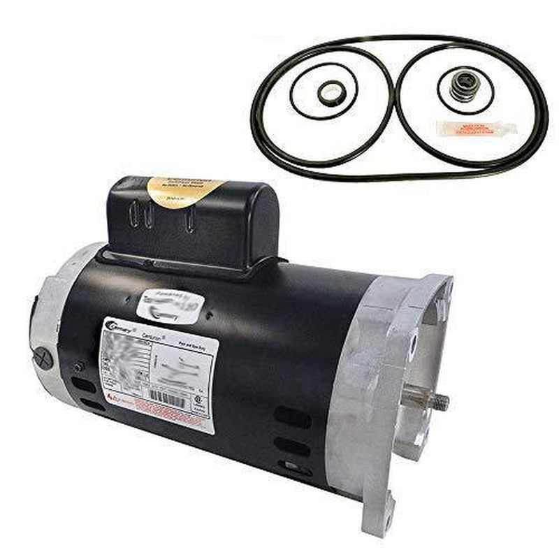 Puri Tech Pentair Challenger 2HP CFI-NI-2FE Replacement Motor Kit AO Smith B2843 w/GO-KIT-5