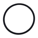Puri Tech Replacement for Pentair R172009 Cap O-Ring Pool and Spa Filter and Feeder