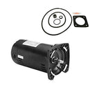 Puri Tech Replacement Motor Kit for Sta-Rite Max-E-Glas .75HP PEA5D-180L AO Smith USQ1072 w/GO-KIT-6