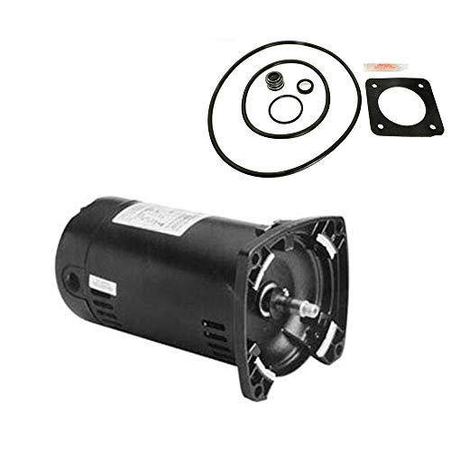 Puri Tech Replacement Motor Kit for Sta-Rite Max-E-Glas .75HP PEA5D-180L AO Smith USQ1072 w/GO-KIT-6