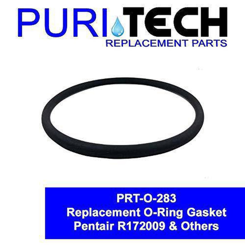 Puri Tech Replacement Part for Pentair Rainbow 300 320 Chlorinator Lid O-Ring R172009 O-283