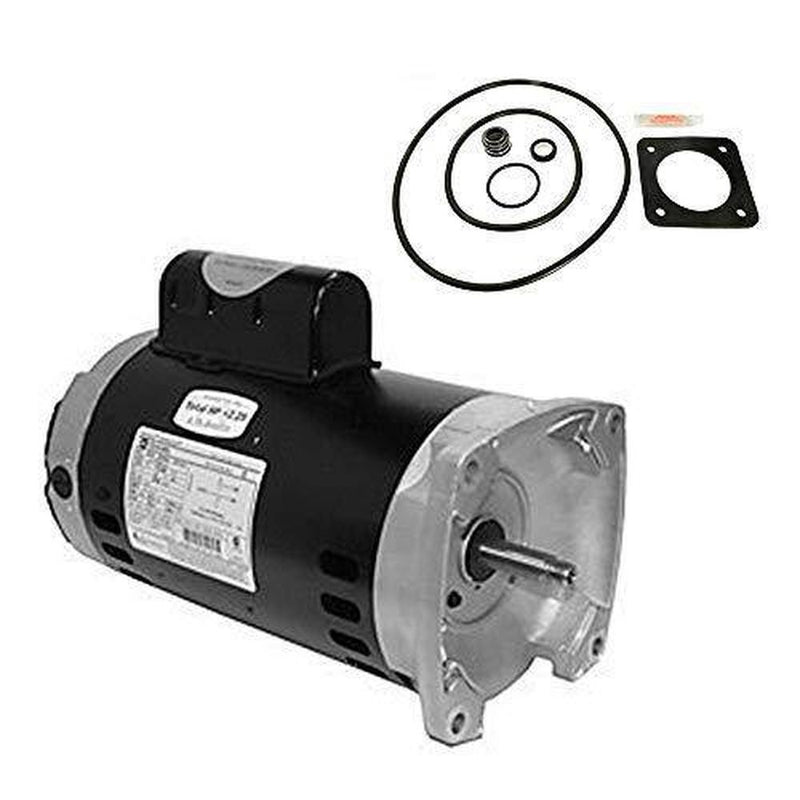 Puri Tech Sta-Rite Dura-Glas 2HP P2R5G Replacement Motor Kit AO Smith SQ1202 w/GO-KIT-