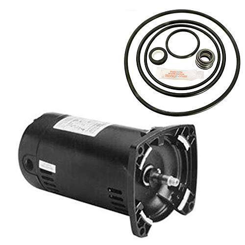 Puri Tech Sta-Rite Dyna-Glas .75HP MPRA6D-146L Replacement Motor Kit AO Smith USQ1072 w/GO-KIT-47