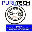 Puri Tech Sta-Rite Dyna Glas Dyna Max J-Series - GO-KIT-47