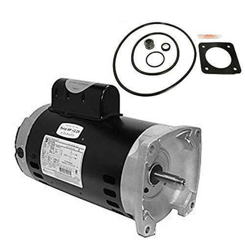 Puri Tech Sta-Rite Max-E-Glas 2HP PE6G-184L Replacement Motor Kit AO Smith SQ1202 w/GO-KIT-6