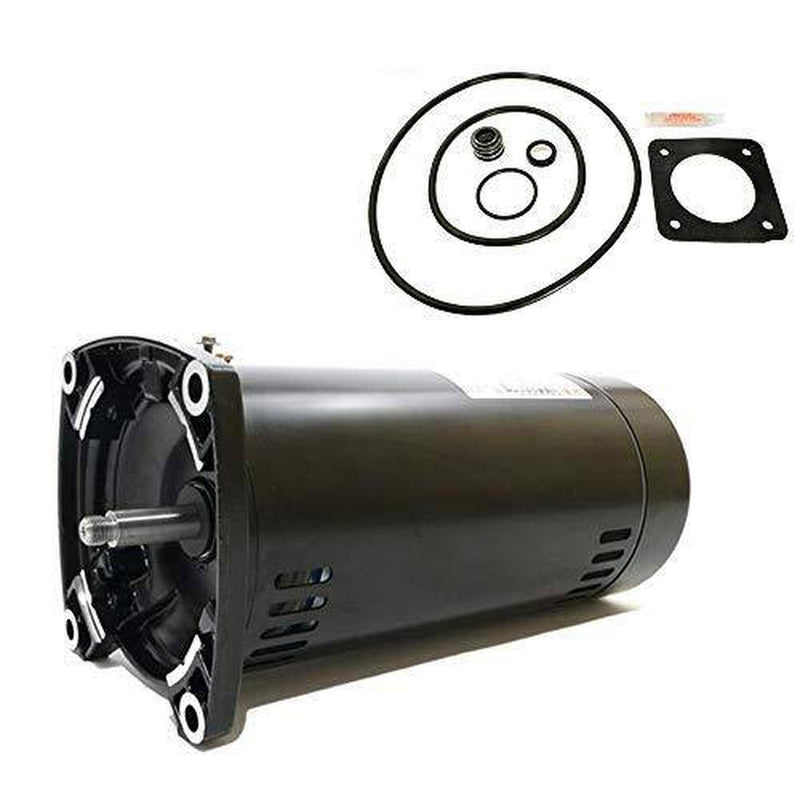 Puri Tech Sta-Rite Max-E-Glas .75HP PE5D-181L Replacement Motor Kit AO Smith SQ1072 w/GO-KIT-6Frame, Capacitor Start, ODP Enclosure, Square Flange Pool Motor