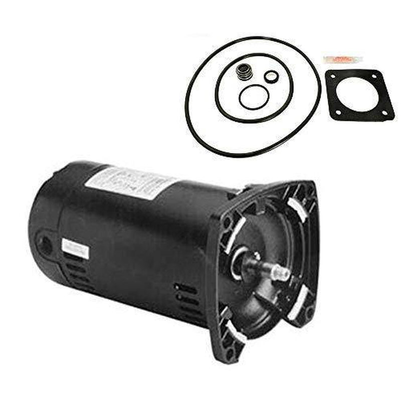 Puri Tech Sta-Rite Max-E-Glas .75HP PEA6D-120L Replacement Motor Kit AO Smith USQ1072 w/GO-KIT-6