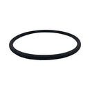 PuriTech Pentair R172009 Cap O-Ring Replacement Pool and Spa Filter and Feeder