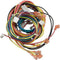 Raypak Wire Harness Iid 009490F