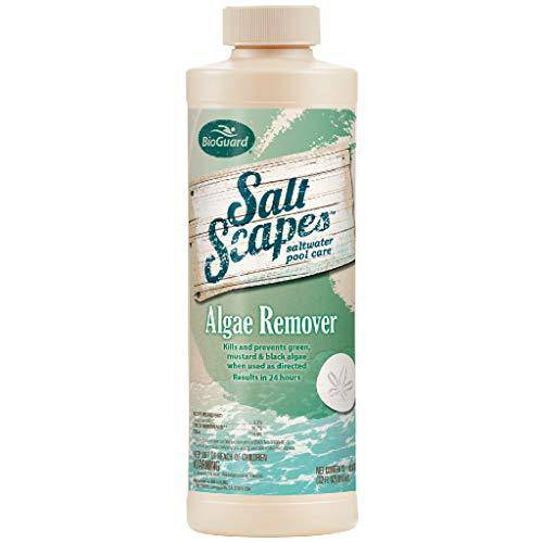 SaltScapes Saltwater Pool Care - Algae Remover