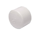 Schedule 40 PVC Fitting 2"" Cap Slip