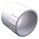Spears 435 Series PVC Pipe Fitting, Adapter, Schedule 40, White, 2" Socket x NPT Female