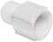 Spears 436-007 PVC Pipe Fitting, Adapter, Schedule 40, White, 3/4" Socket x NPT Male (Pack of 10)