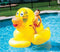 Swimline Giant Ducky Inflatable Ride-On