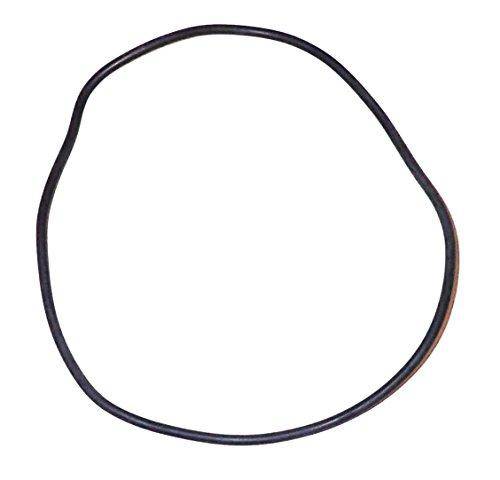 Swimline Large Internal O-Ring for 1.0/1.5/2.0 hp Pumps