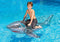 Swimline Ride-On Shark Pool Toy