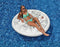 Swimline Silver Dollar Island Money Pool Float
