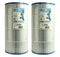 Unicel C-8409 Swimming Pool Replacement Filter Cartridge (2 Pack)
