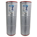 Unicel C-9415 Swimming Pool 150 Sq. Ft. Filter Cartridges Replacement for Filbur FC-0687 and Pleatco PAP150-4 (2 Pack)
